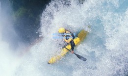 维拉门神力挽狂澜，主场激战狼队握手言和