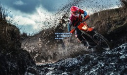 纳达尔法网夺冠创纪录，第14次捧起火枪手杯书写传奇