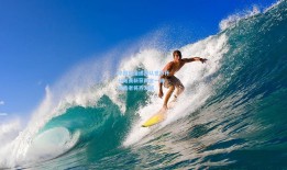 中国短道速滑队世界杯分站赛斩获两金一银 新秀老将齐发威