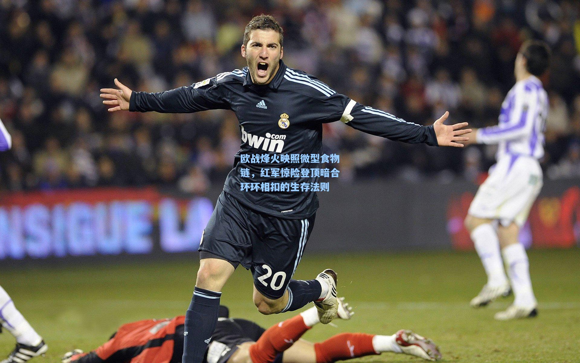 欧战烽火映照微型食物链,红军惊险登顶暗合环环相扣的生存法则